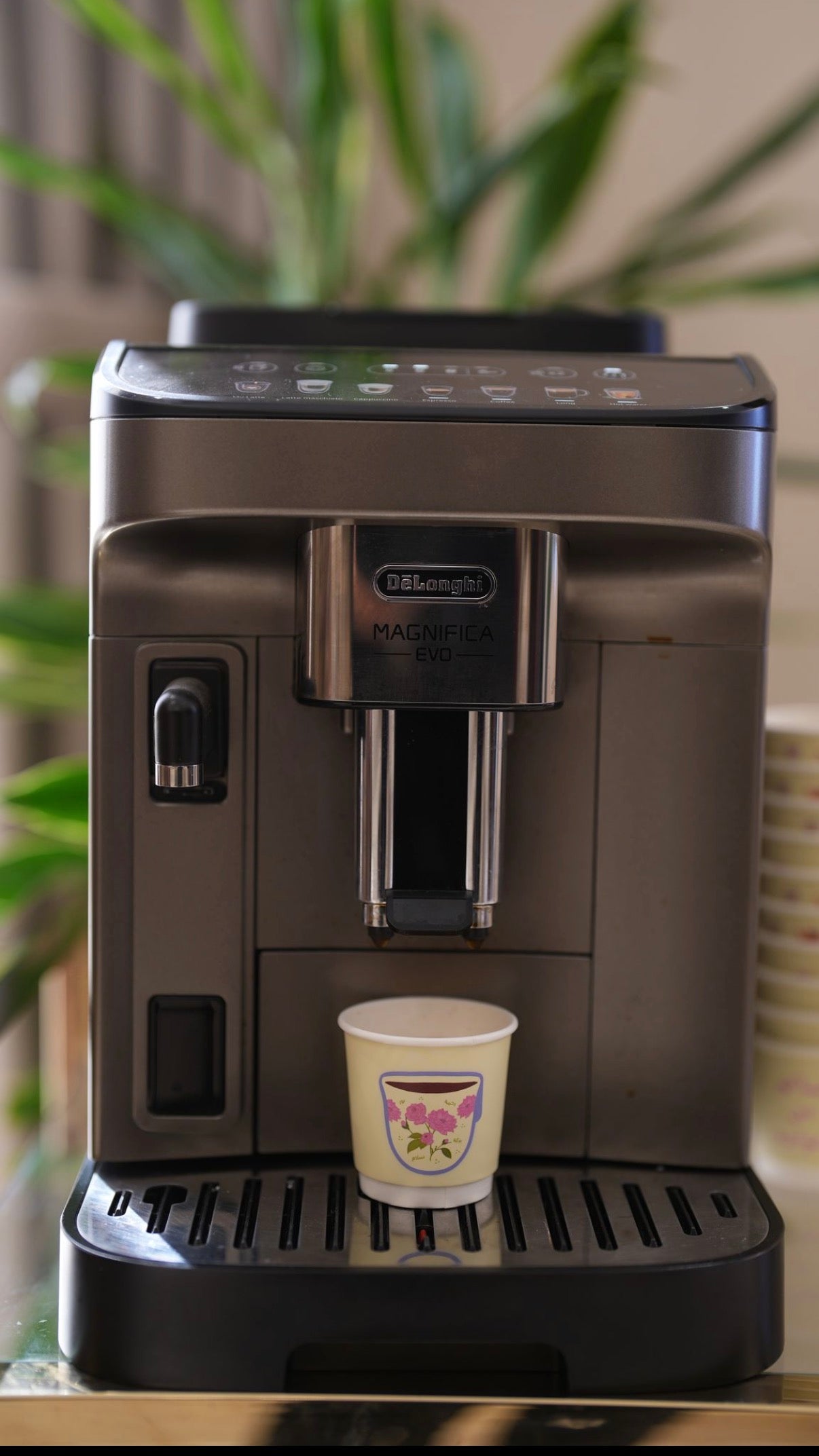 أكواب عساكم من عوادة